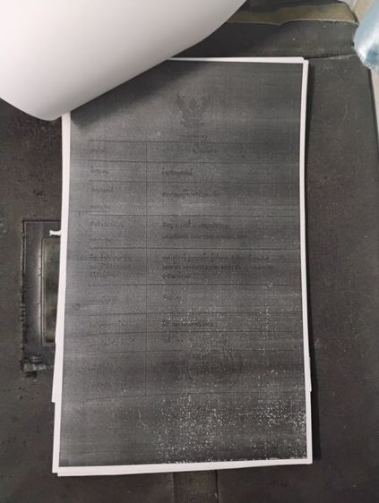 ใบสมาคม รูปที่ 13