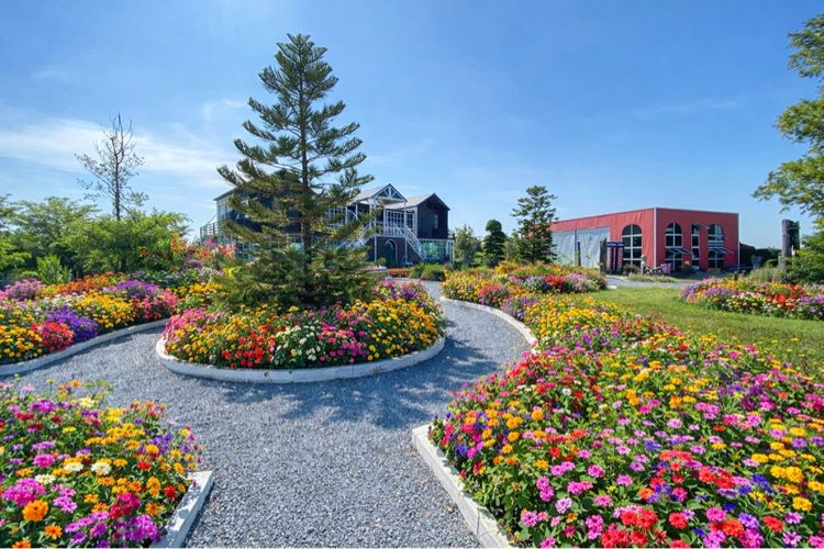 ตกแต่งครบ 2024 เช่า บ้านสวนคาเฟ่ ติดกรุงเทพ โกดัง สไตล์ยุโรป บนอาณาจักร 4 ไร่ นครปฐมบางเลน ห่างจาก ดอนเมือง 30 กิโล โดยประมาณ( เจ้าของขายเอง ) รูปที่ 2