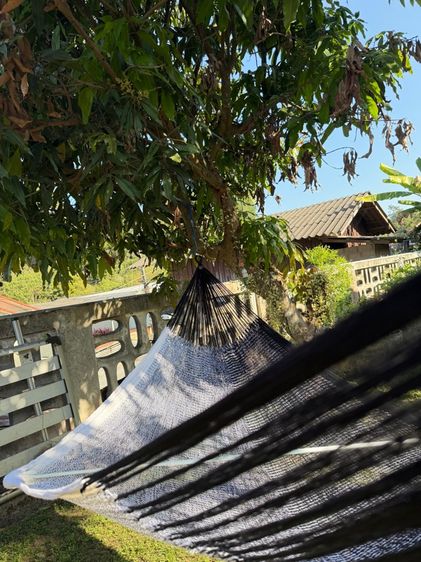 Hammock เปลญวน เปลนอน รูปที่ 9