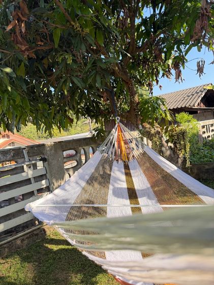 Hammock เปลญวน เปลนอน รูปที่ 7