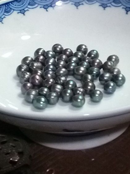 ขาย ไข่มุกดำ รูปที่ 2