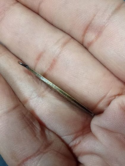 เหรียญหลวงพ่อเหลือ วัดสาวชะโงก รุ่นแรก รูปที่ 4