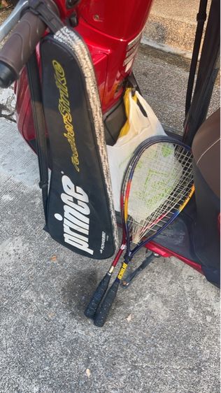 กีฬาเทนนิส (สคอวช)