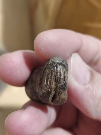 พระปิดตาไม่ทราบที่มาเก็บมานาน รูปที่ 10