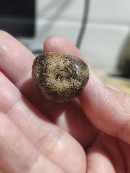 พระปิดตา เนื้อกะลา ไม่ทราบที่มา รูปที่ 10