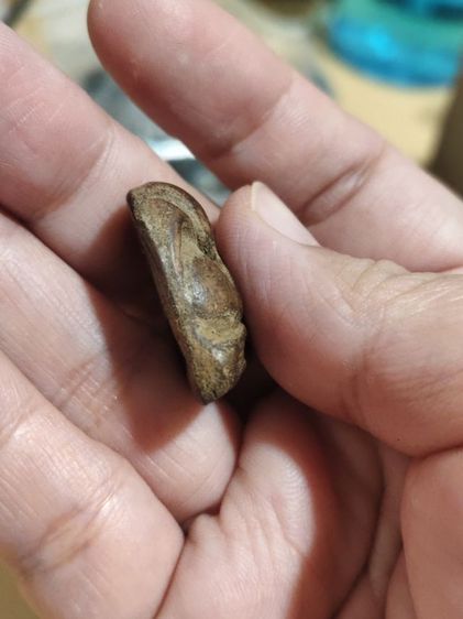 พระปิดตาไม่ทราบที่มา