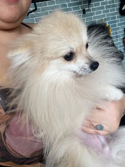 11 เดือน รูปที่ 6