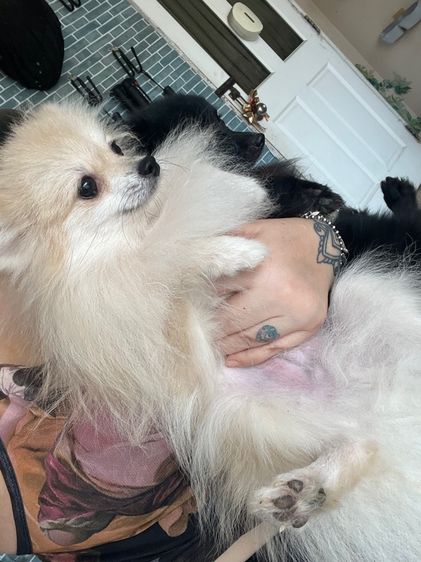 11 เดือน รูปที่ 3