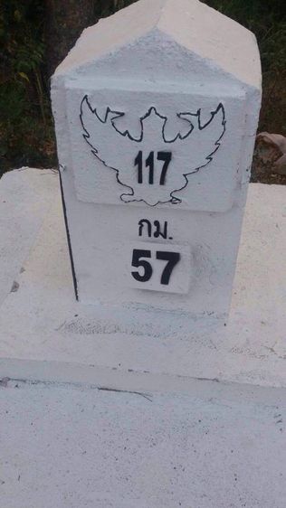 ใช่ ขายที่ดินติดถนนทางหลวง 117 รูปที่ 3