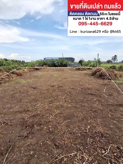 ขายที่ดินเปล่าถมแล้ว ติดคลอง 1 ไร่ 1 งาน ลำลูกกา ปทุมธานี ราคาเพียง 4.5 ล้านบาท รูปที่ 4