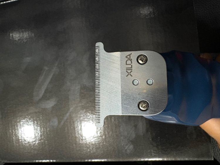 ปัตตาเลี่ยน Xilda tanto  รูปที่ 3