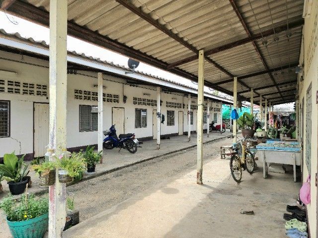 ใช่ ขายที่ดิน ซ.5 ติดสาย36 รูปที่ 4