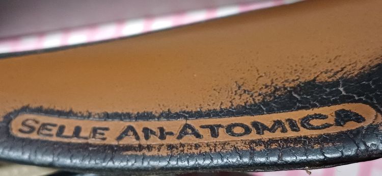 อานจักรยาน Selle Anatomica (Made in USA)

สำหรับนักปั่นที่ “ซีเรียสเรื่องความสบาย”
อานจักรยานระดับพรีเมียมSelle Anatomica  Made in USA รูปที่ 7