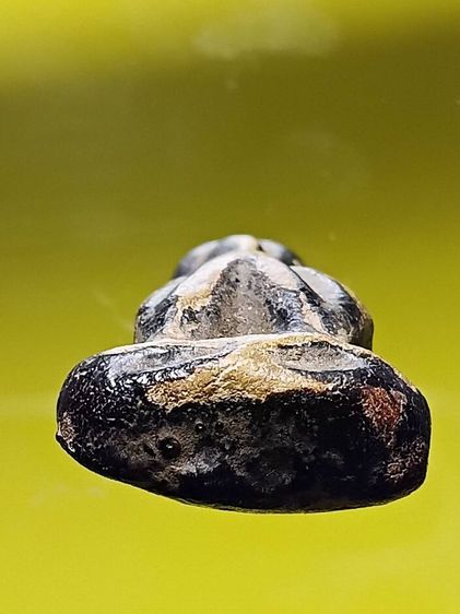 พระปิดตาเก่า หลวงปู่ยิ้ม วัดหนองบัว รุ่นเเรก จ.กาญจนบุรี พระเก็บเก่า สภาพสวย อายุกว่าร้อยปี สวยสมบูรณ์มาก หายาก พบน้อย รูปที่ 7