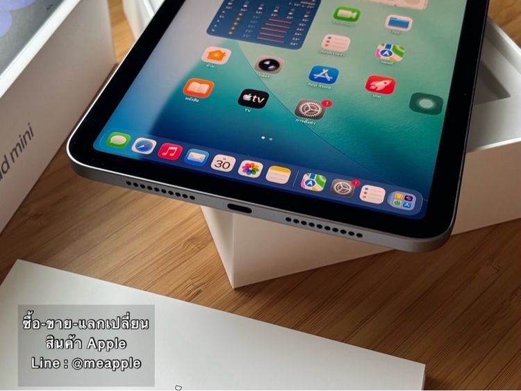 iPad mini 7 (สุขภาพแบต 100) ipad mini 7 ipad mini 7 ipad mini 7 ipad mini 7 ipad mini 7 ipad mini 7 ipad mini 7 รูปที่ 5