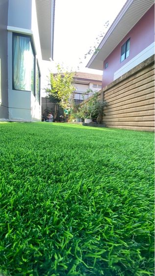 หญ้าเทรยม