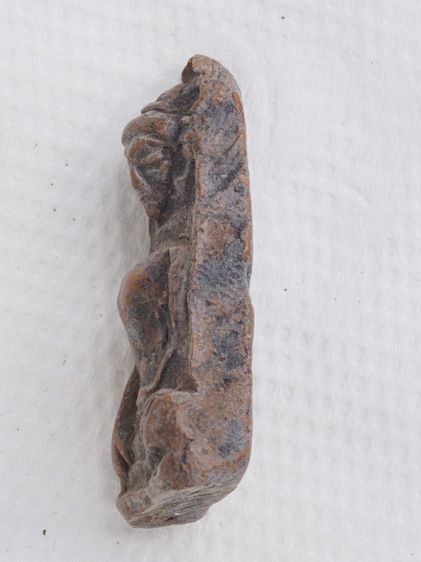 พระผงสุพรรณ 21116808 รูปที่ 3