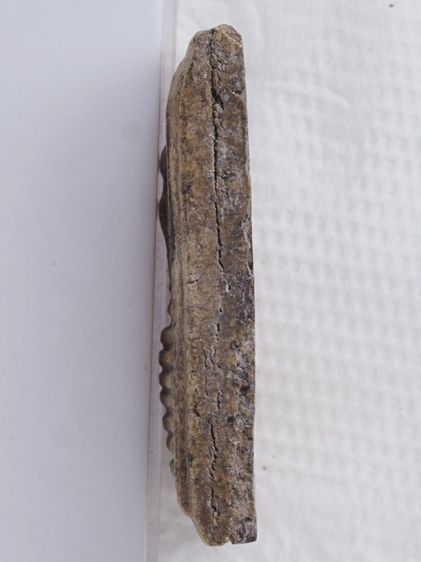 พระสมเด็จ วัดเกศไชโย 21116816 รูปที่ 4