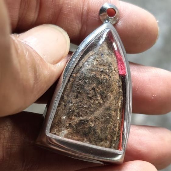 ปู่ทวดเนื้อว่านสวยๆ รูปที่ 3