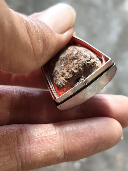 ปู่ทวดเนื้อว่านสวยๆ รูปที่ 4