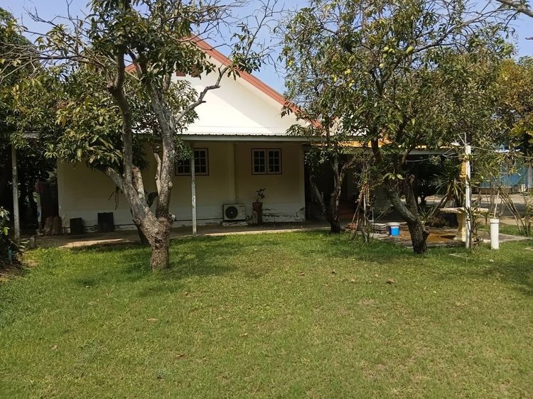 มีบางส่วน บ้านพร้อมที่ดิน 200 ตรว. พร้อมบ้าน 3 หลัง รูปที่ 4