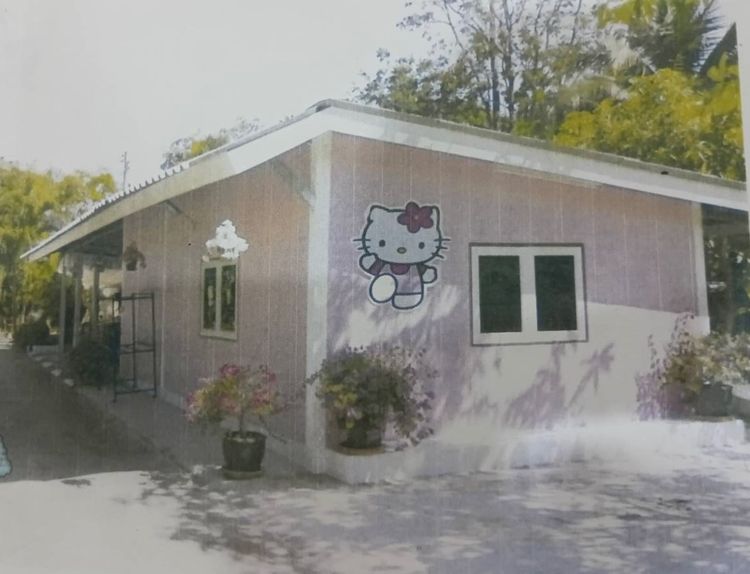 มีบางส่วน บ้านพร้อมที่ดิน 200 ตรว. พร้อมบ้าน 3 หลัง รูปที่ 3