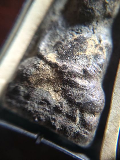 ปู่ทวดเนื้อว่าน รูปที่ 6