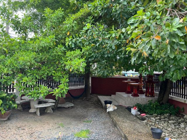 ขายบ้าน รูปที่ 2