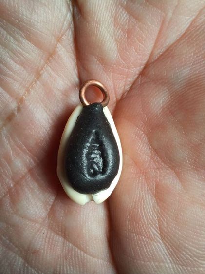 เบี้ยแก้บรรจุตะกรุด อุดผงแร่บางไผ่ วัดนครอินทร์ จ.นนทบุรี  รุ่นปี พ.ศ.2562 สภาพเก็บไม่ได้ใช้ รูปที่ 2