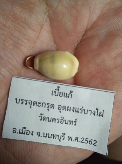 เบี้ยแก้บรรจุตะกรุด อุดผงแร่บางไผ่ วัดนครอินทร์ จ.นนทบุรี  รุ่นปี พ.ศ.2562 สภาพเก็บไม่ได้ใช้