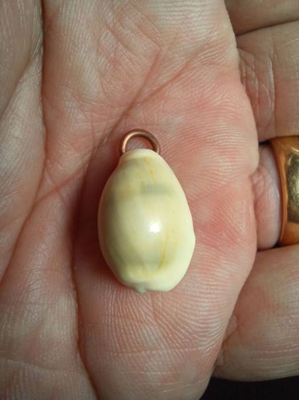 เบี้ยแก้บรรจุตะกรุด อุดผงแร่บางไผ่ วัดนครอินทร์ จ.นนทบุรี  รุ่นปี พ.ศ.2562 สภาพเก็บไม่ได้ใช้ รูปที่ 4