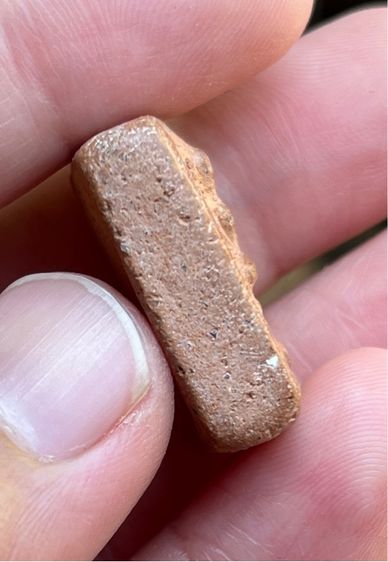 หลวงพ่อปาน รูปที่ 3