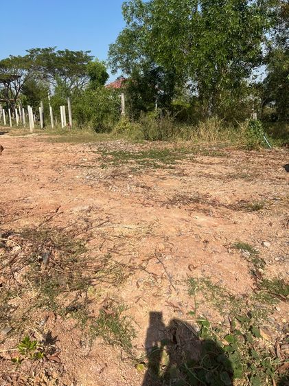 ใช่ ที่ดินถมแล้ว รูปที่ 2