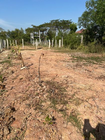 ใช่ ที่ดินถมแล้ว รูปที่ 3