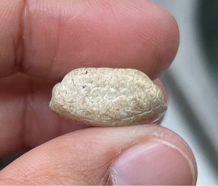 หลวงพ่ออ้น รูปที่ 4