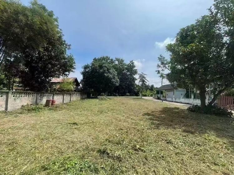 ใช่ ขายที่ดินราคาถูก รูปที่ 4