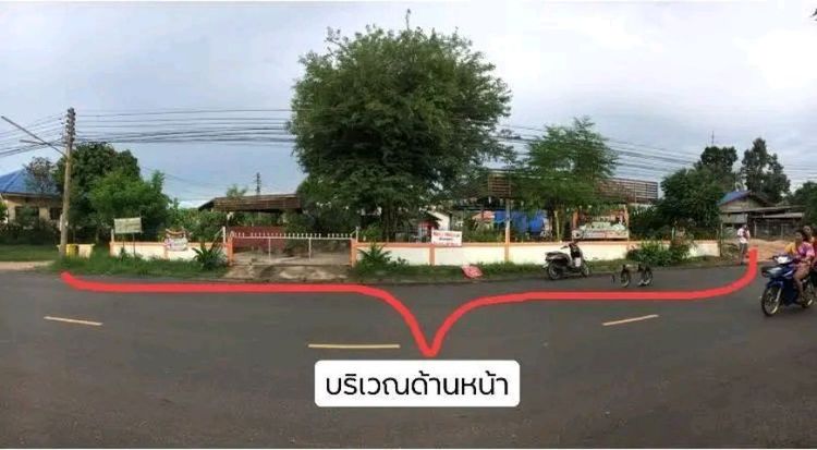 ขายและเช่า รูปที่ 4
