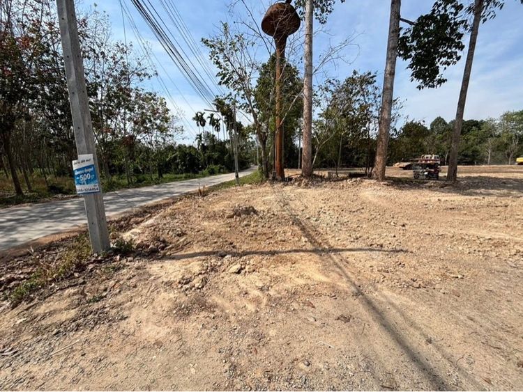 ที่ดิน รูปที่ 4