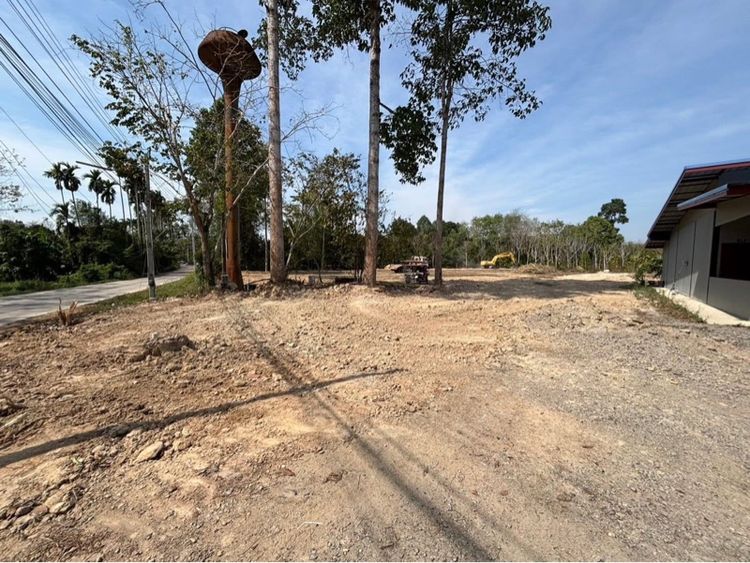 ที่ดิน รูปที่ 3