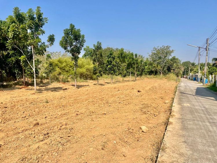 📌ขายที่ดินแปลงสวยในตัวเมืองปราณบุรี รูปที่ 4