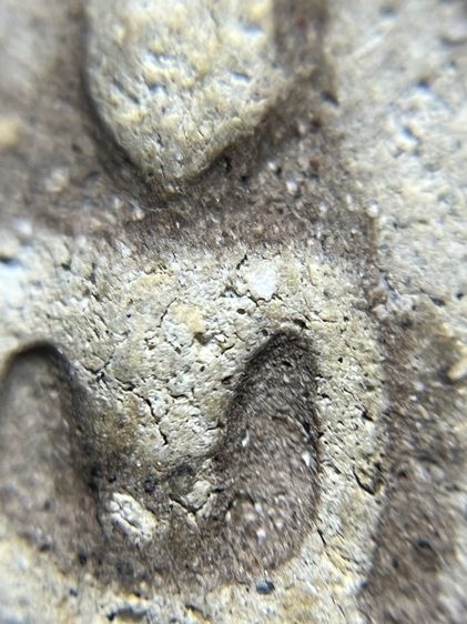 สมเด็จไม่ทราบที่ รูปที่ 7