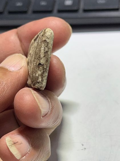 สมเด็จไม่ทราบที่ รูปที่ 5