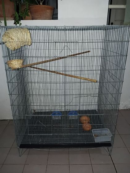 กรงนก1000 รูปที่ 2