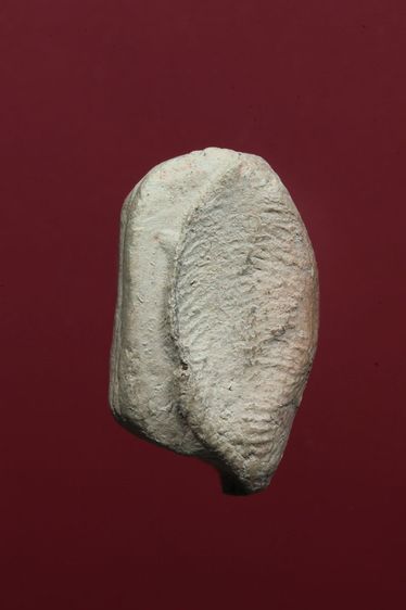 พระคงลำพูนสวยๆค่ะเก่าค่ะ รูปที่ 5