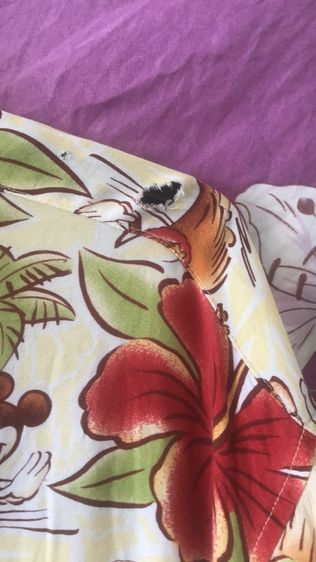 ฮาวายดิสนีย์ รูปที่ 3