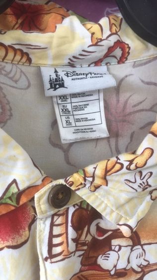 ฮาวายดิสนีย์ รูปที่ 2