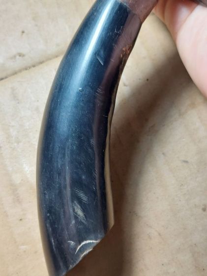 เครื่องรางมีดหมอหลวงพ่อกวยวัดโฆสิตารามด้ามเขาควายใบ 6 ยาวรวม 11 นิ้ว รูปที่ 3