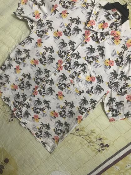 ฮาวายดิสนีย์ รูปที่ 3