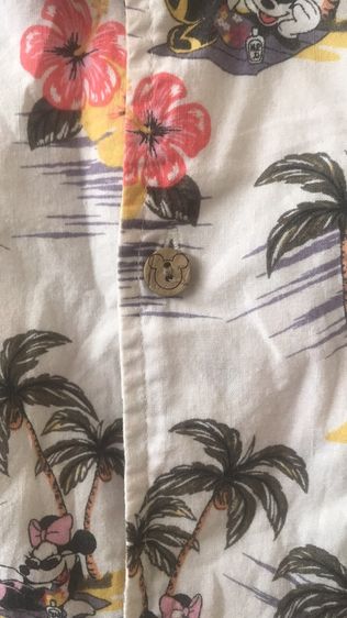 ฮาวายดิสนีย์