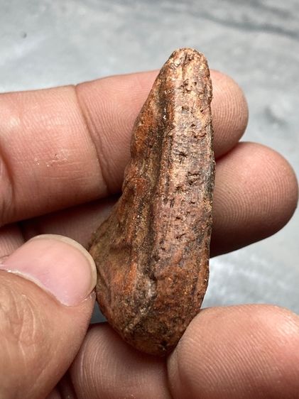 พระนางพญา รูปที่ 4